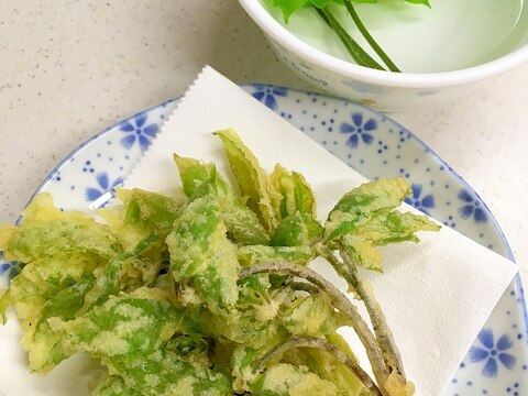 コシアブラ　山菜の天ぷら